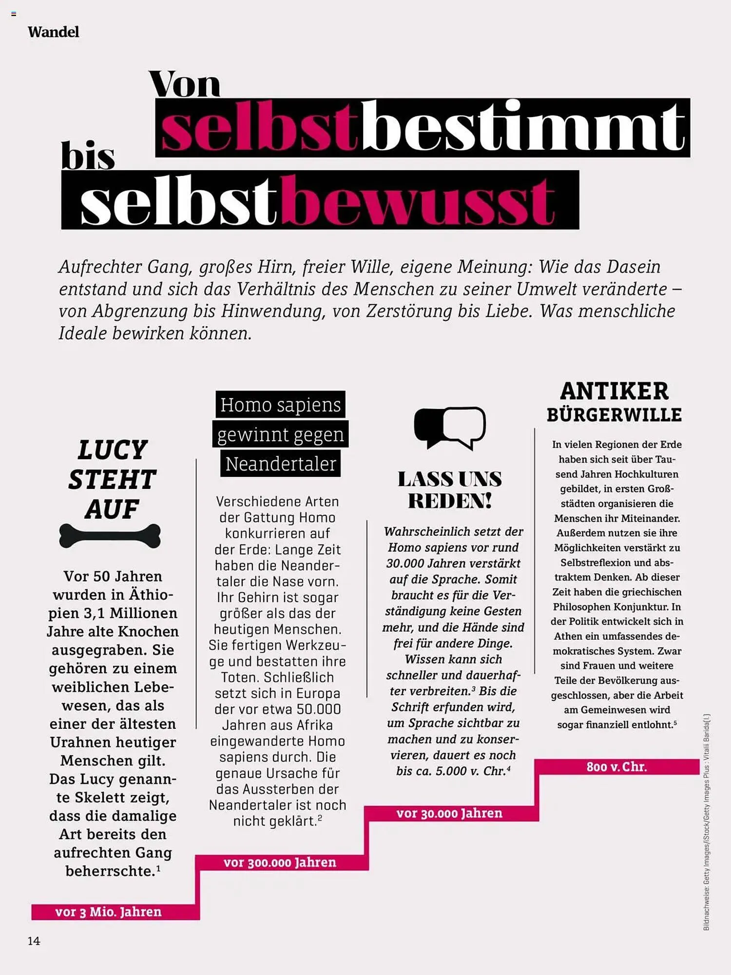 Denn's Biomarkt Flugblatt von 11. Februar bis 6. August 2025 - Flugblätt seite 14