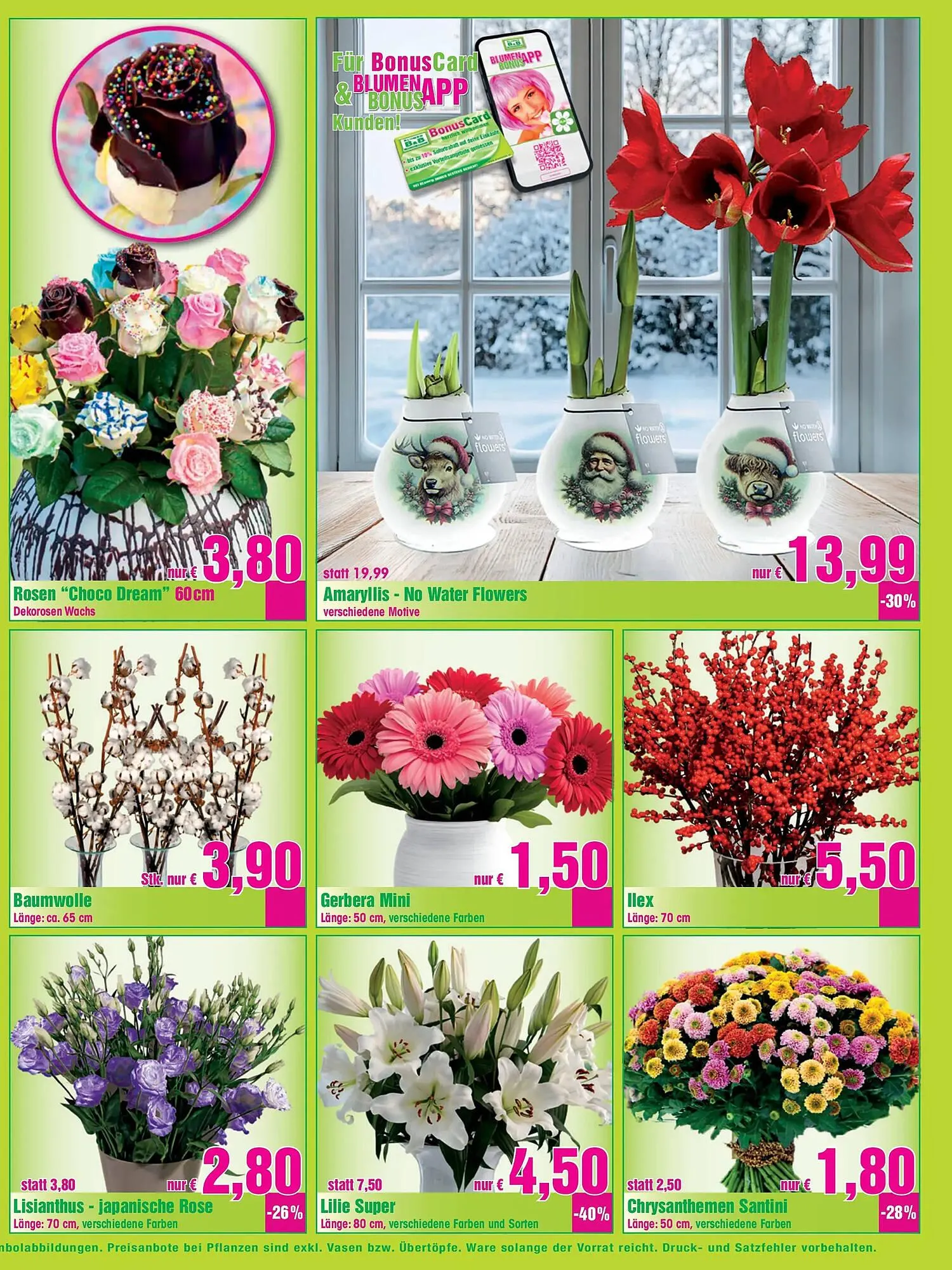 Blumen B&B Flugblatt von 14. November bis 25. November 2025 - Flugblätt seite 3