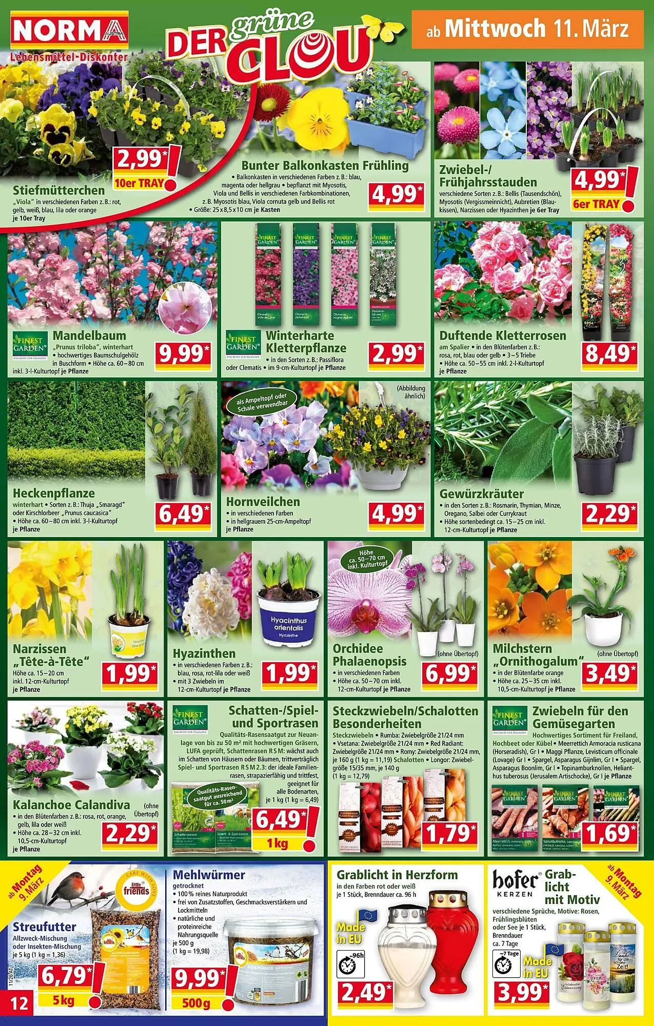 Norma Prospekt von 9. März bis 15. März 2026 - Flugblätt seite 12