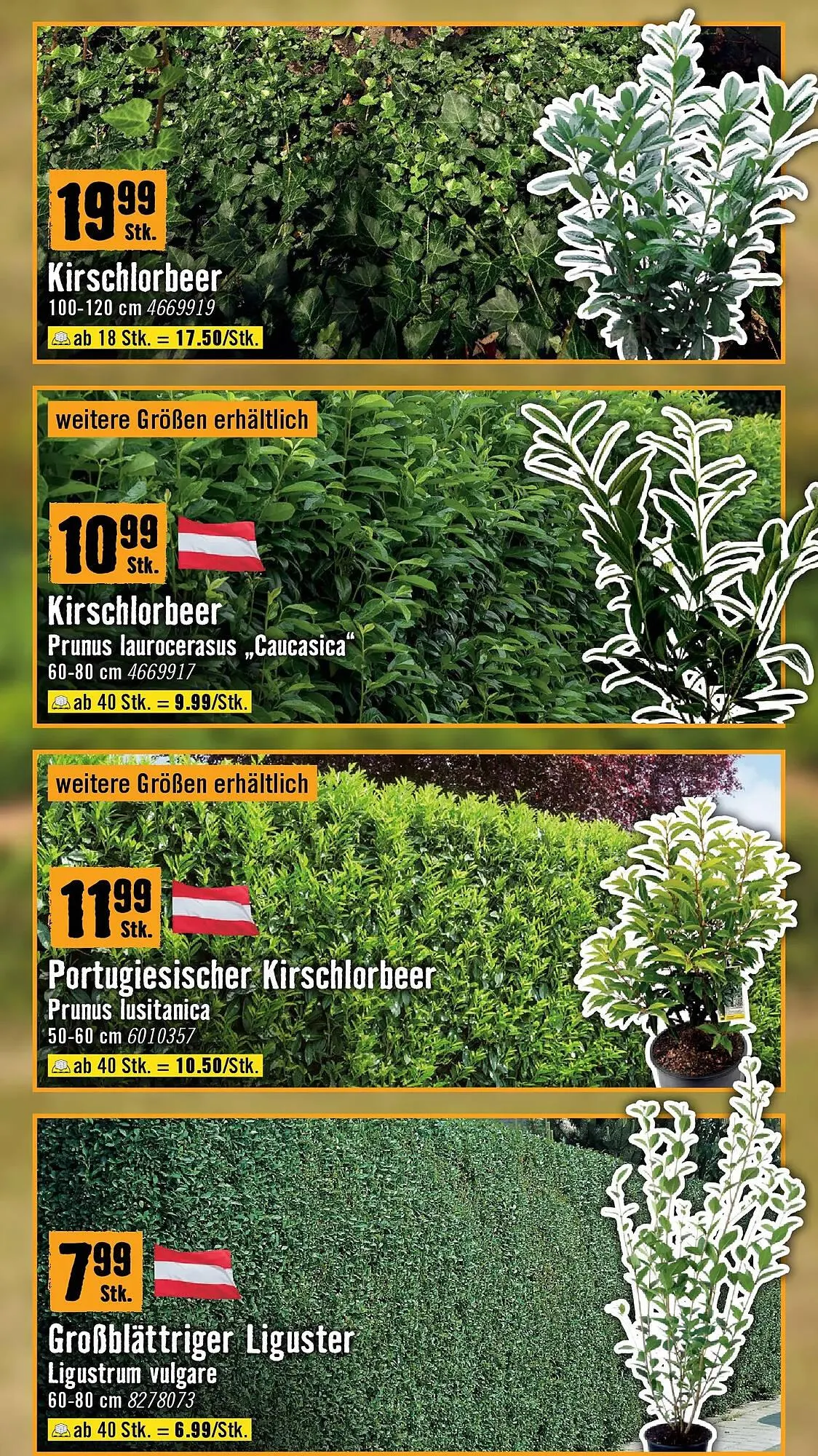 Hornbach Flugblatt von 18. März bis 16. April 2026 - Flugblätt seite  21