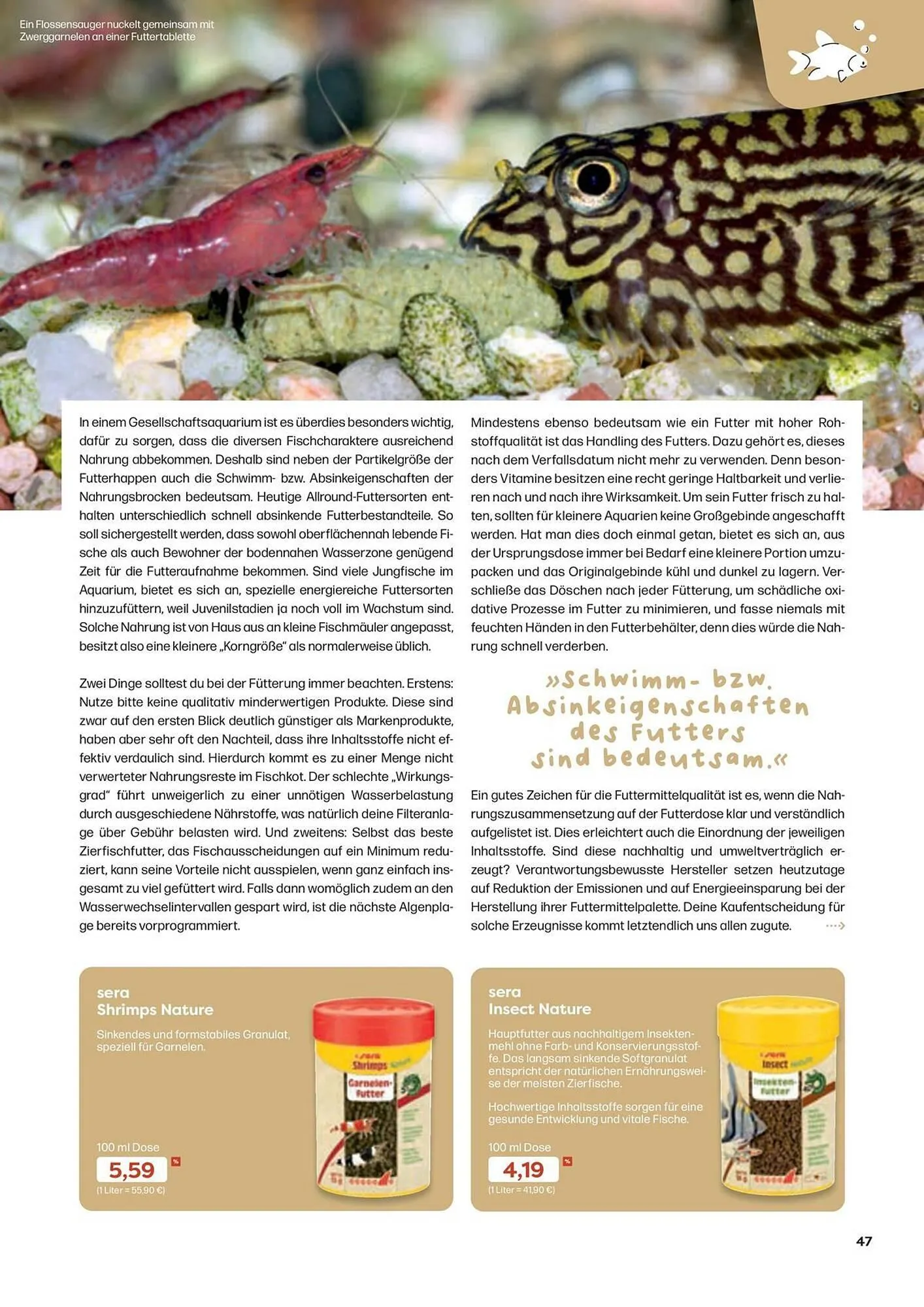 ZOO & Co Flugblatt von 30. August bis 8. November 2024 - Flugblätt seite 47