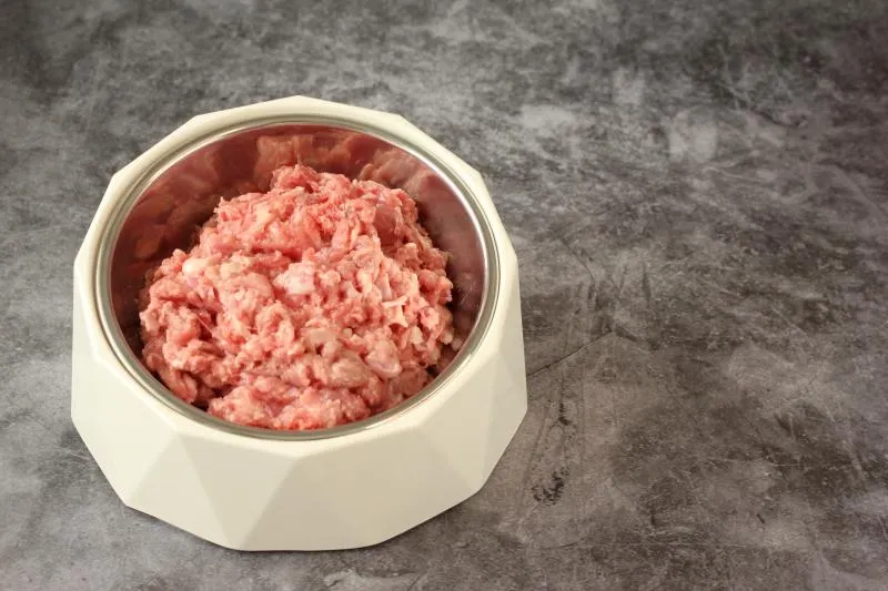 Hund Geflügel faschiert roh