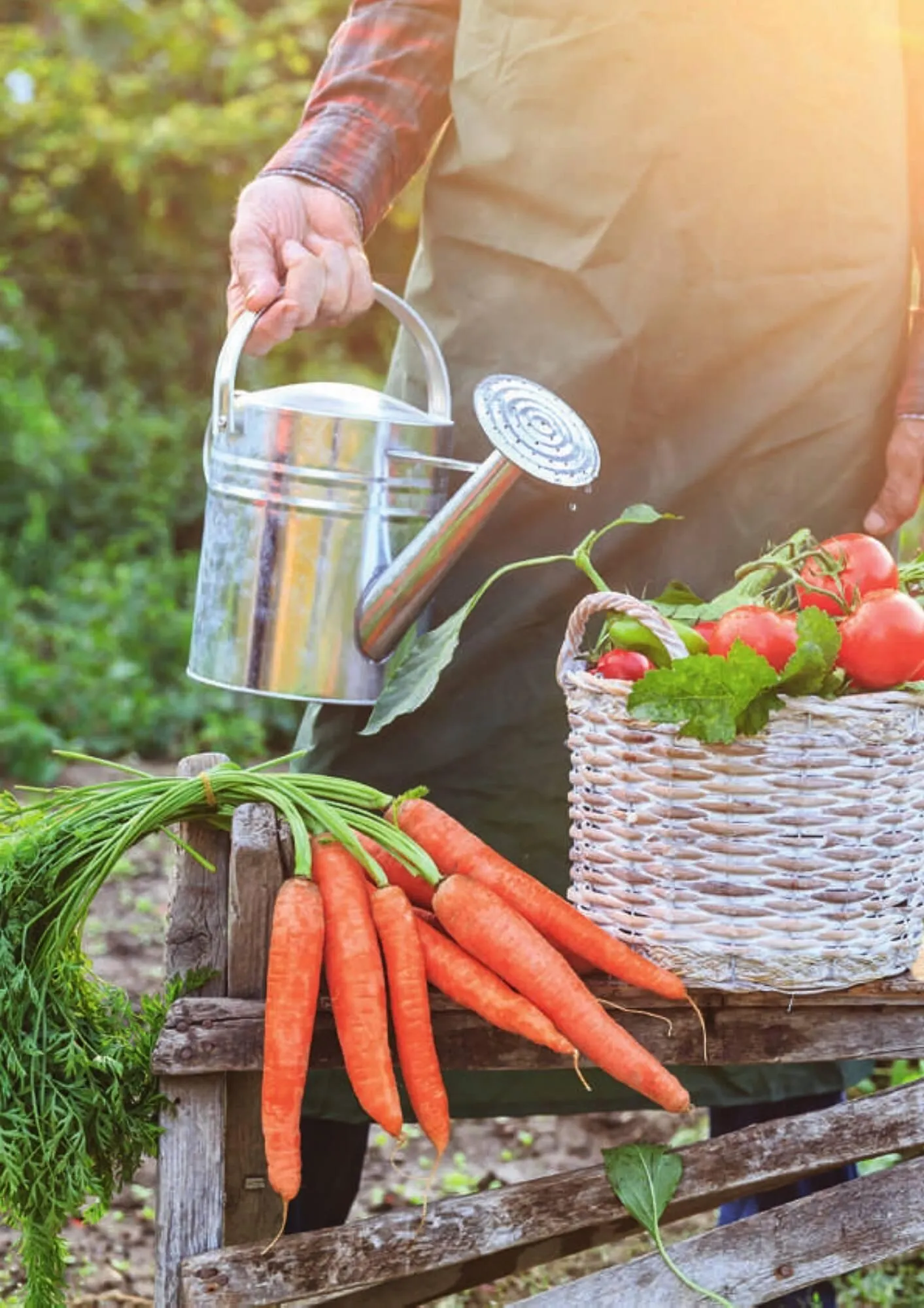 Dehner Flugblatt von 11. September bis 31. Dezember 2025 - Flugblätt seite 2