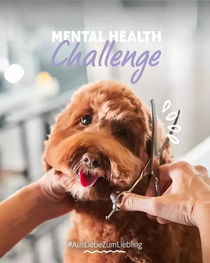 Das Futterhaus flugblatt von 28. Jänner bis 11. Februar 2025 - Flugblätt seite  1