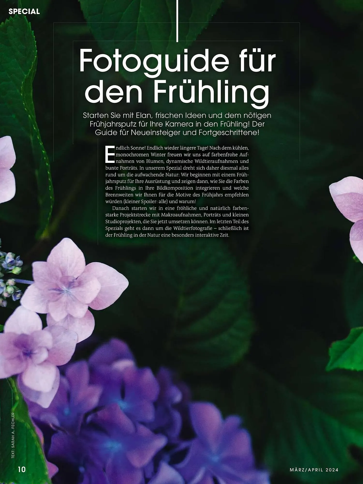 RINGFOTO Flugblatt von 1. März bis 30. April 2024 - Flugblätt seite 10