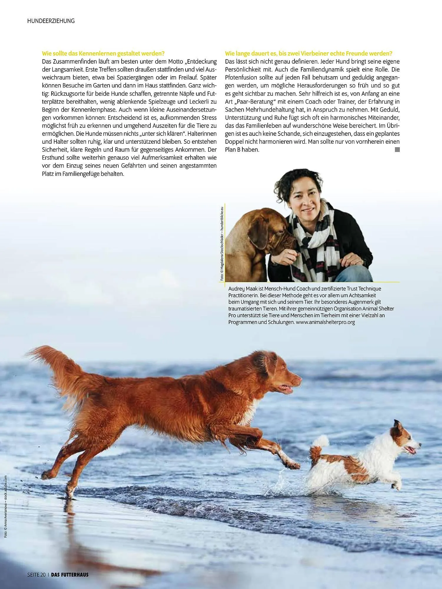 Das Futterhaus Prospekt von 17. Dezember bis 6. Jänner 2026 - Flugblätt seite  20