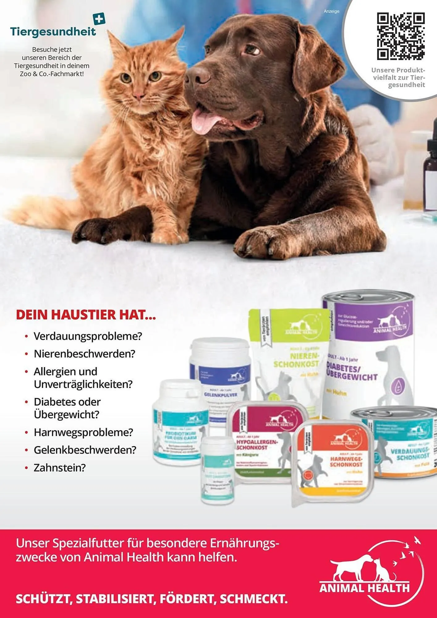 ZOO & Co Flugblatt von 30. August bis 8. November 2024 - Flugblätt seite  34