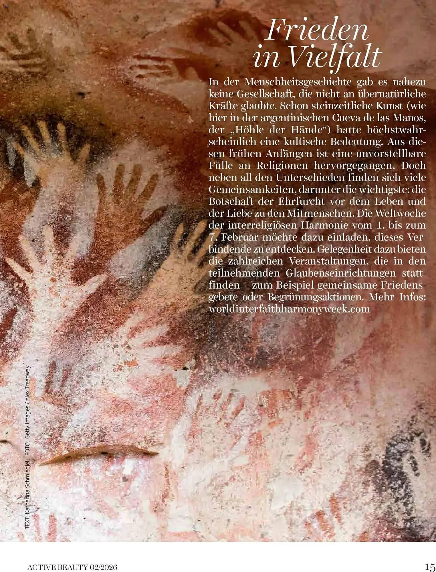 Dm Flugblatt von 1. Februar bis 28. Februar 2026 - Flugblätt seite  15