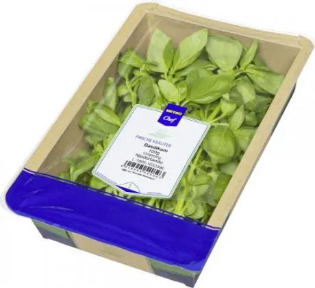 Basilikum frisch Niederlande