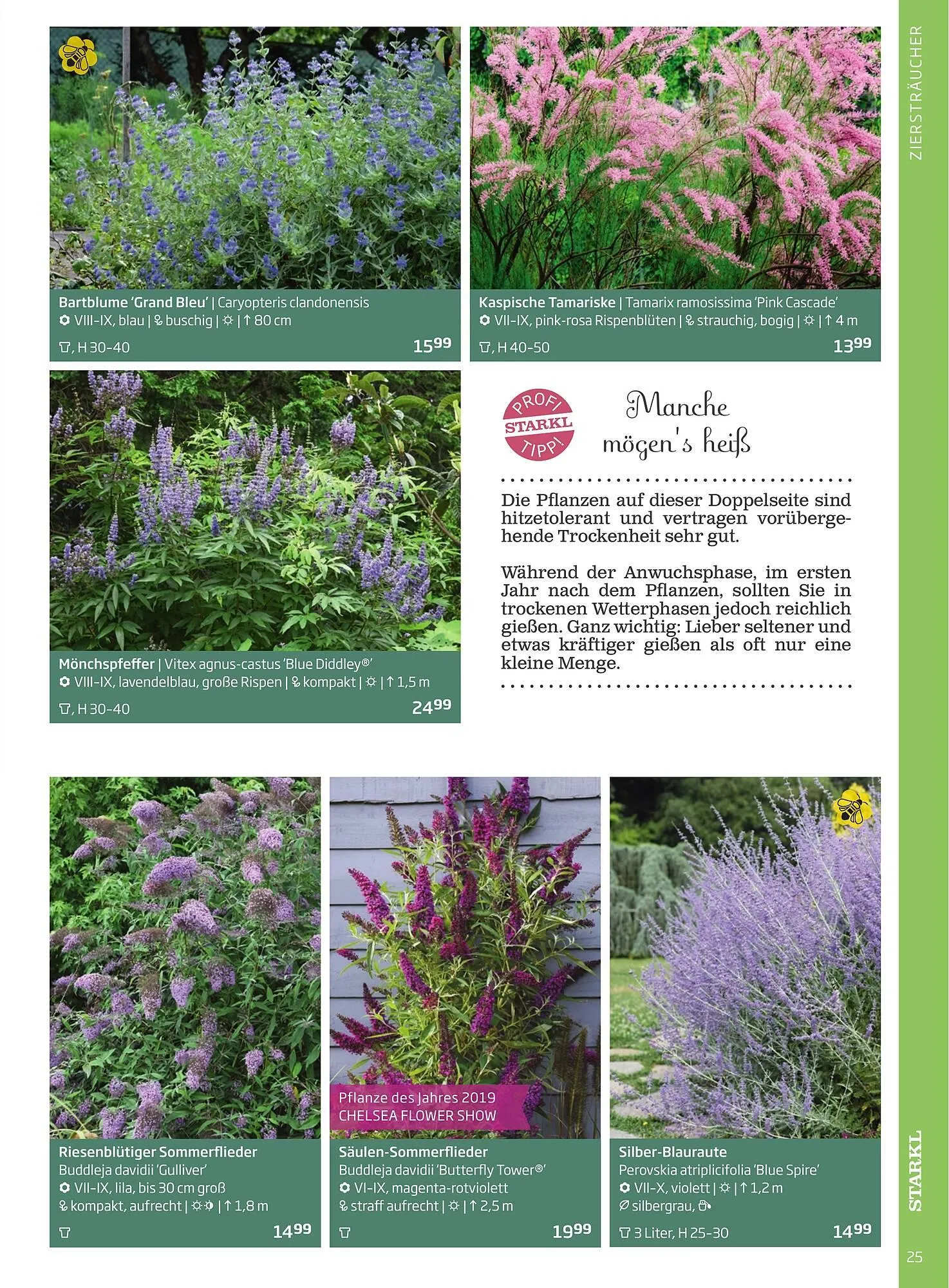 Starkl Flugblatt von 6. Juni bis 31. Dezember 2025 - Flugblätt seite  25