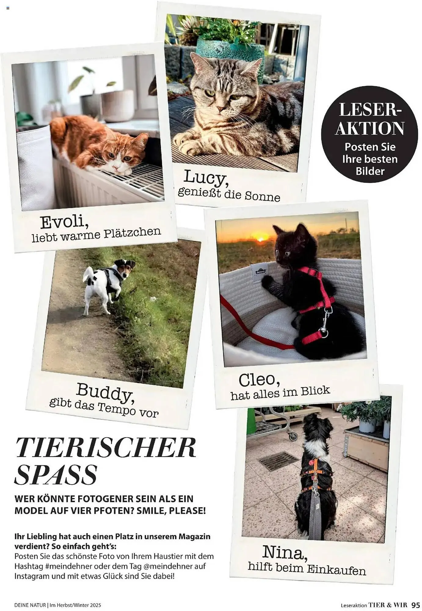 Dehner Flugblatt von 10. Oktober bis 30. November 2025 - Flugblätt seite  95