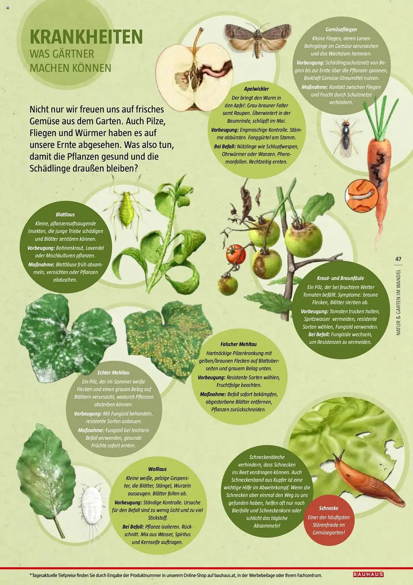 Bauhaus Flugblatt von 1. Juli bis 6. März 2026 - Flugblätt seite  47