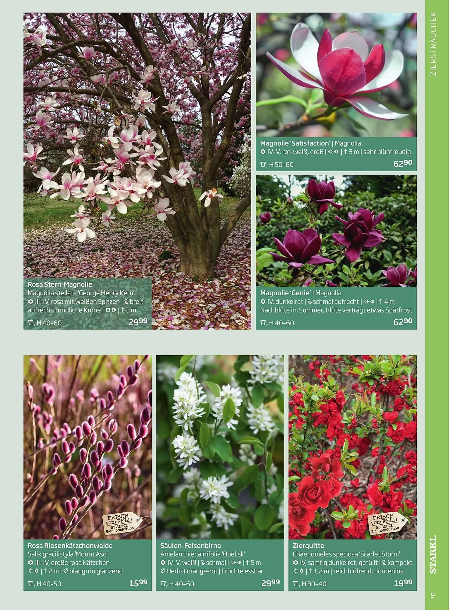 Starkl Flugblatt von 1. Jänner bis 31. Dezember 2023 - Flugblätt seite 9