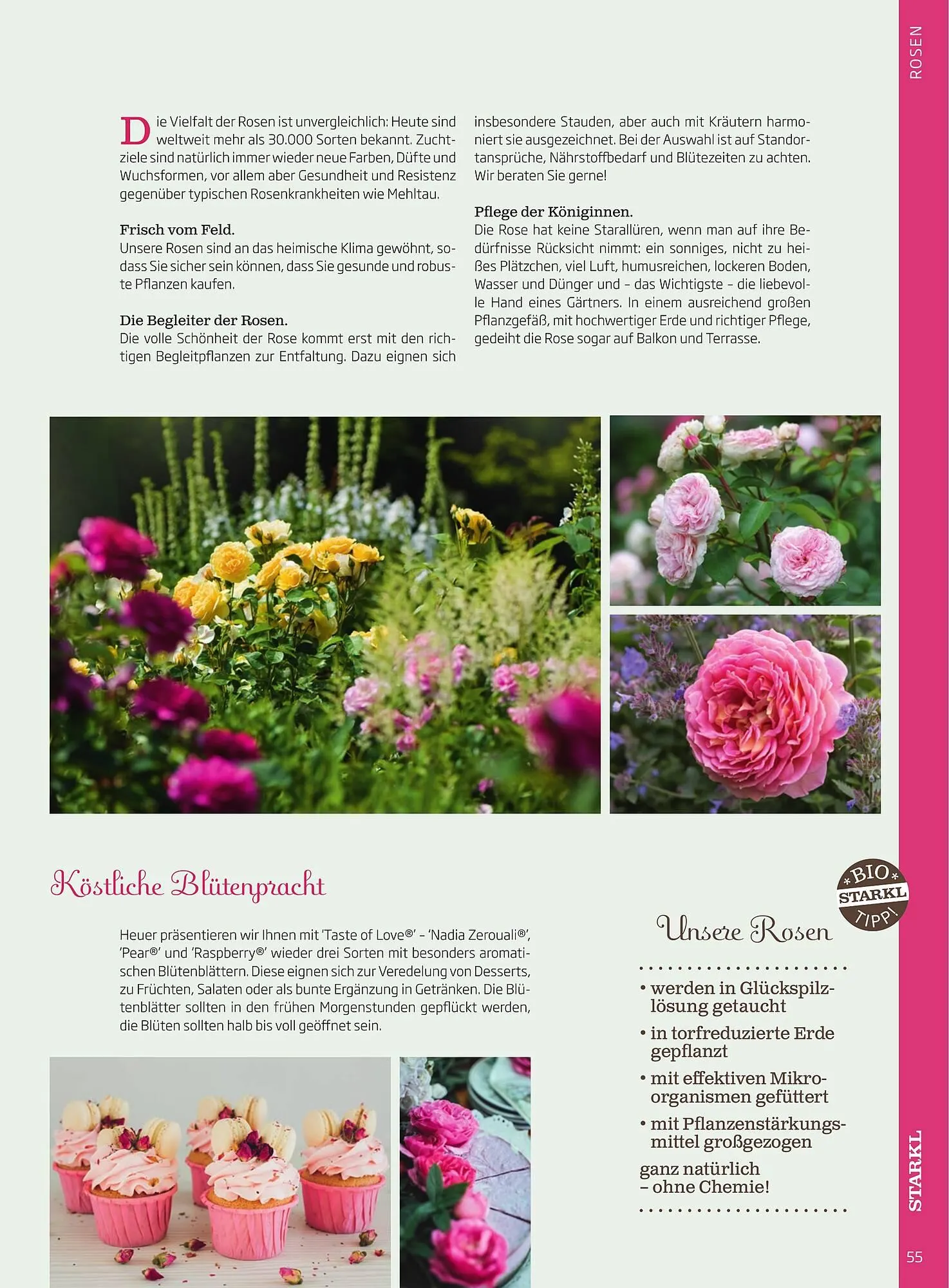 Starkl Flugblatt von 1. Jänner bis 31. Dezember 2023 - Flugblätt seite 55