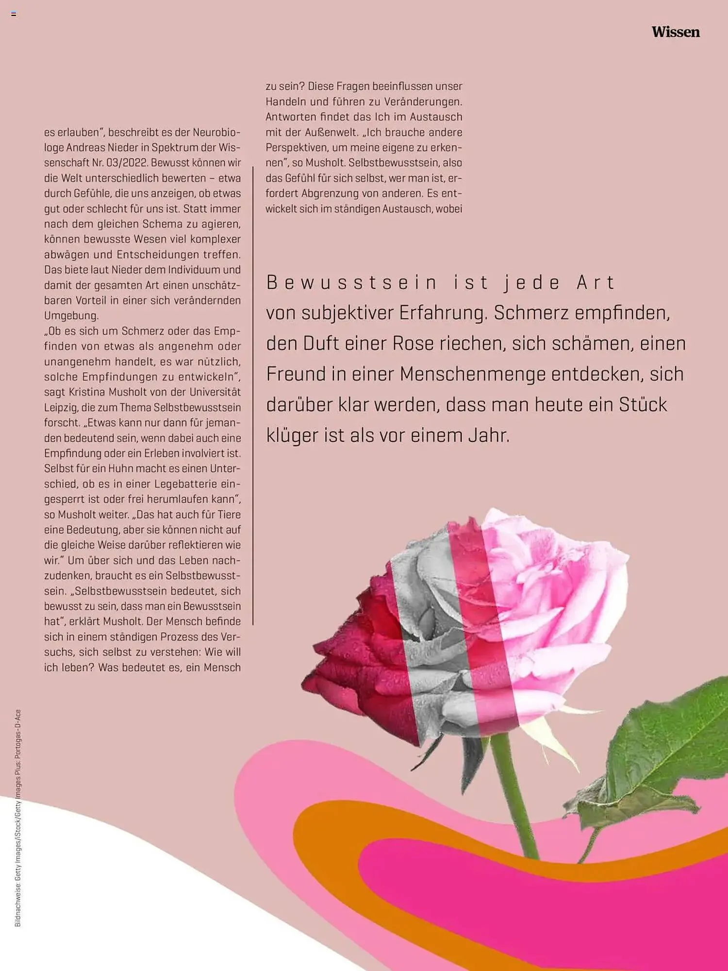 Denn's Biomarkt Flugblatt von 11. Februar bis 6. August 2025 - Flugblätt seite 9