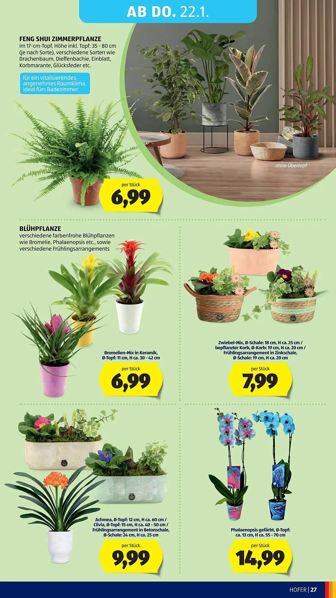 Hofer Flugblatt von 14. Jänner bis 1. März 2026 - Flugblätt seite  31