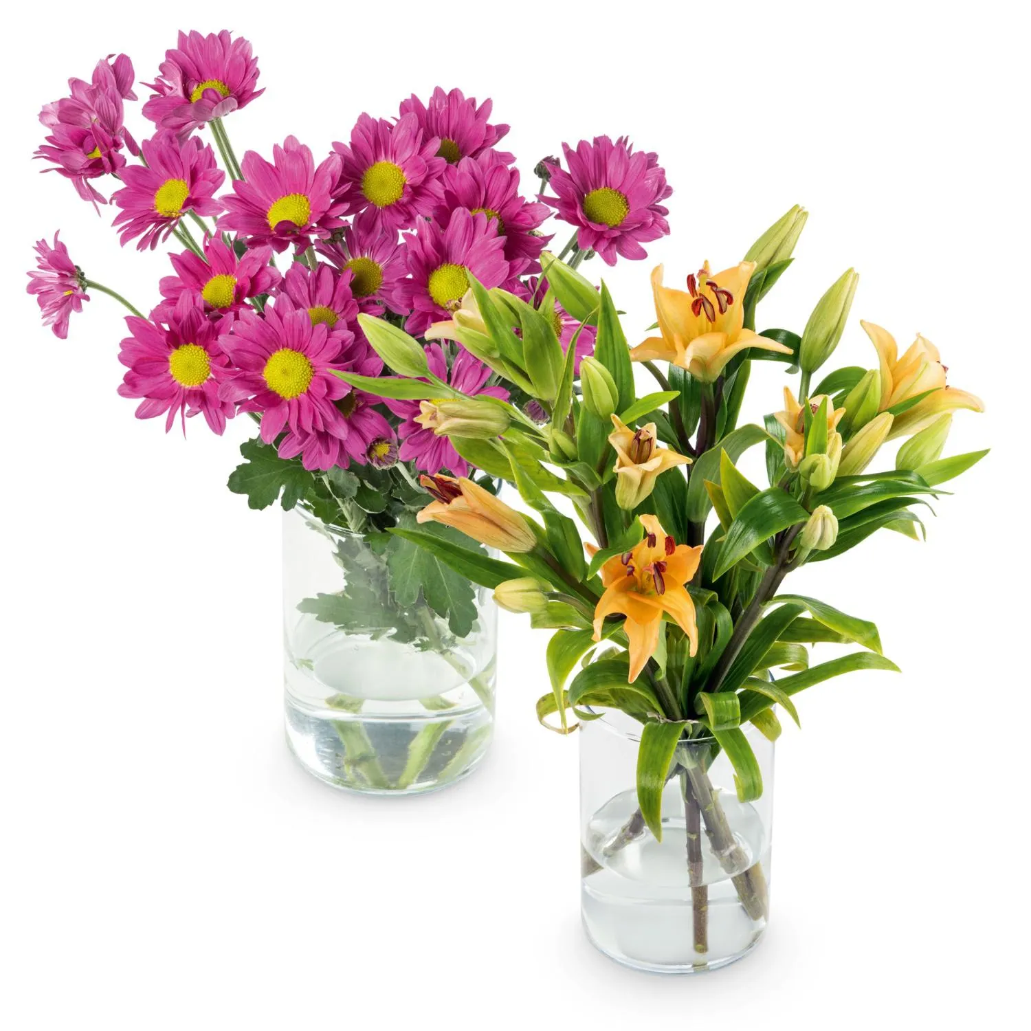 Schnittblumen
