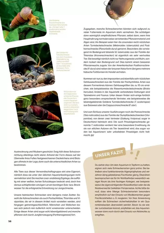 Angebote ZOO & Co von 29. November bis 13. Dezember 2024 - Flugblätt seite 56