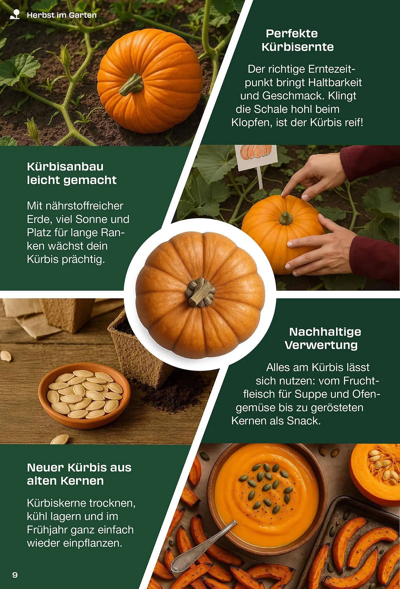 Lidl Flugblatt von 1. September bis 30. November 2025 - Flugblätt seite  9