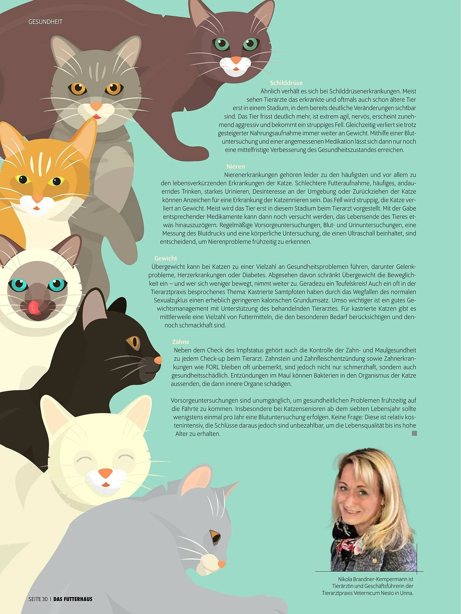 Das Futterhaus Prospekt von 17. Dezember bis 6. Jänner 2026 - Flugblätt seite  30