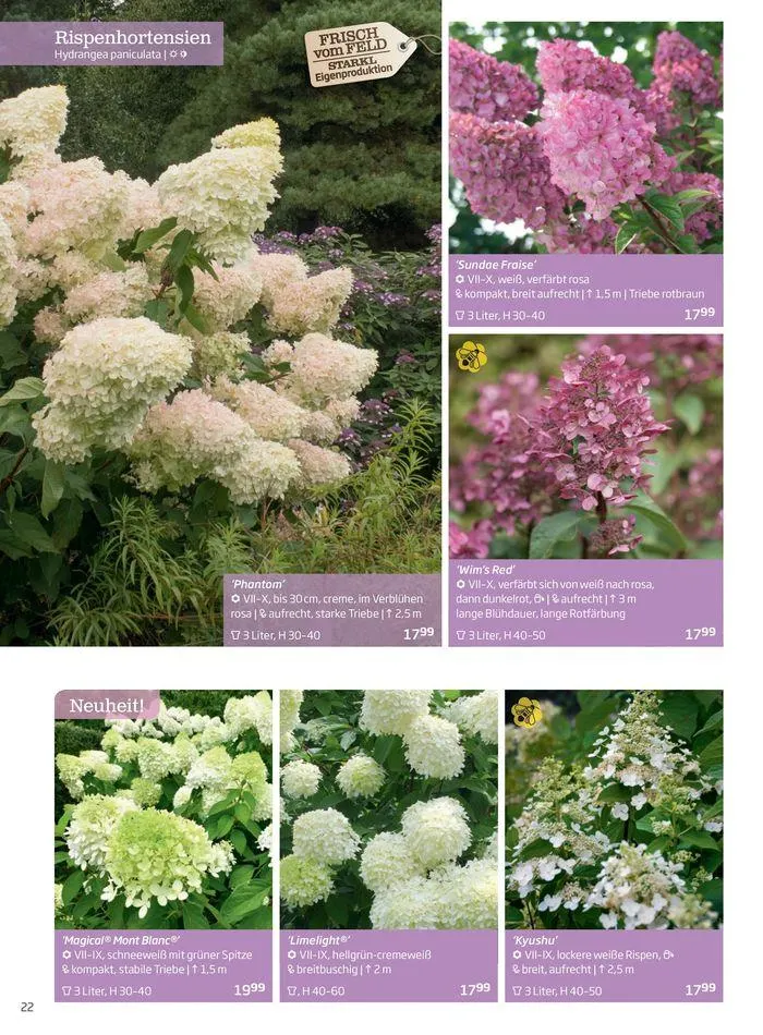 Gartencenter Jahreskatalog 2024 von 20. Mai bis 31. Dezember 2024 - Flugblätt seite 22