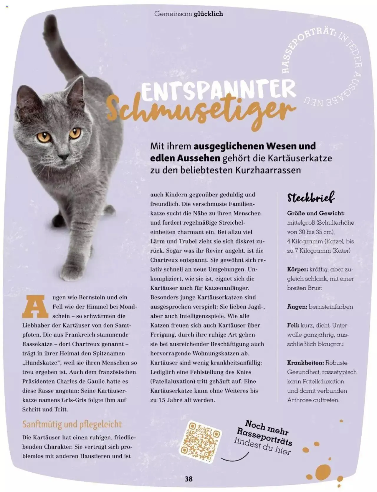 Fressnapf Friends 02/2023 von 1. März bis 31. Dezember 2023 - Flugblätt seite 38