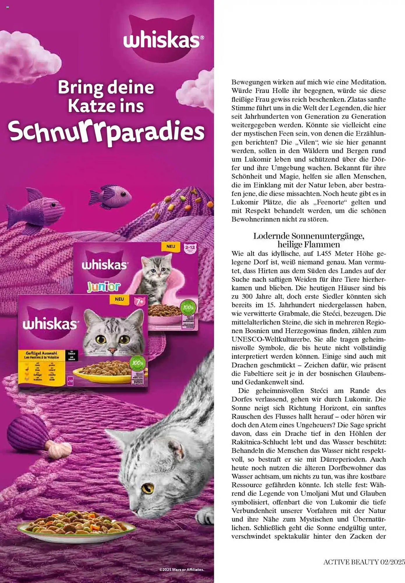 dm Flugblatt von 5. Februar bis 28. Februar 2025 - Flugblätt seite  76