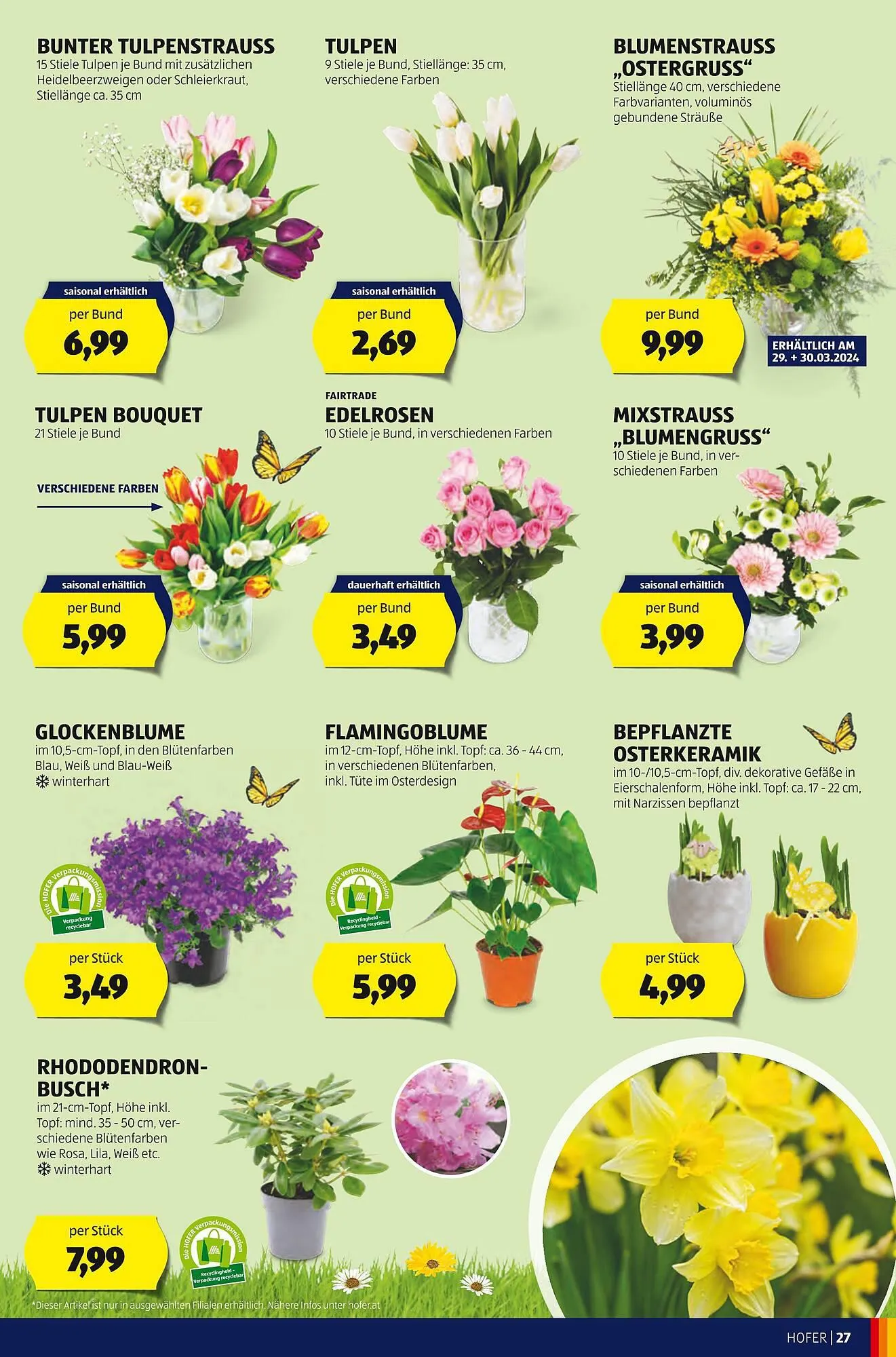 Hofer Flugblatt von 22. März bis 28. März 2024 - Flugblätt seite 29