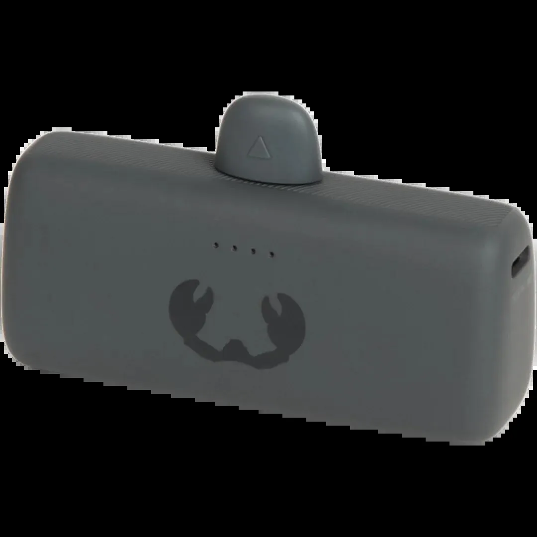 Fresh ’n Rebel Plug-in Powerbank