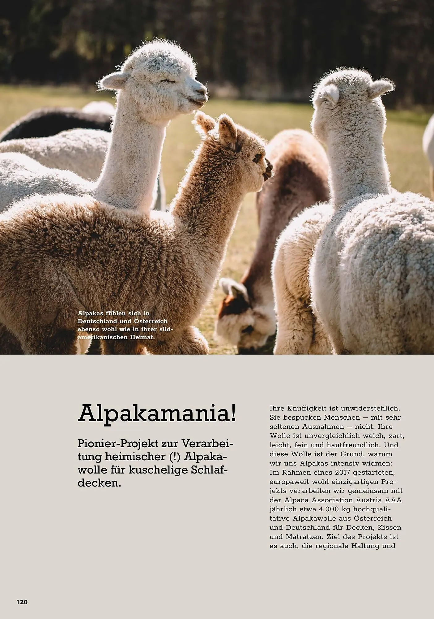 Grüne Erde Flugblatt von 27. September bis 28. Dezember 2024 - Flugblätt seite  118