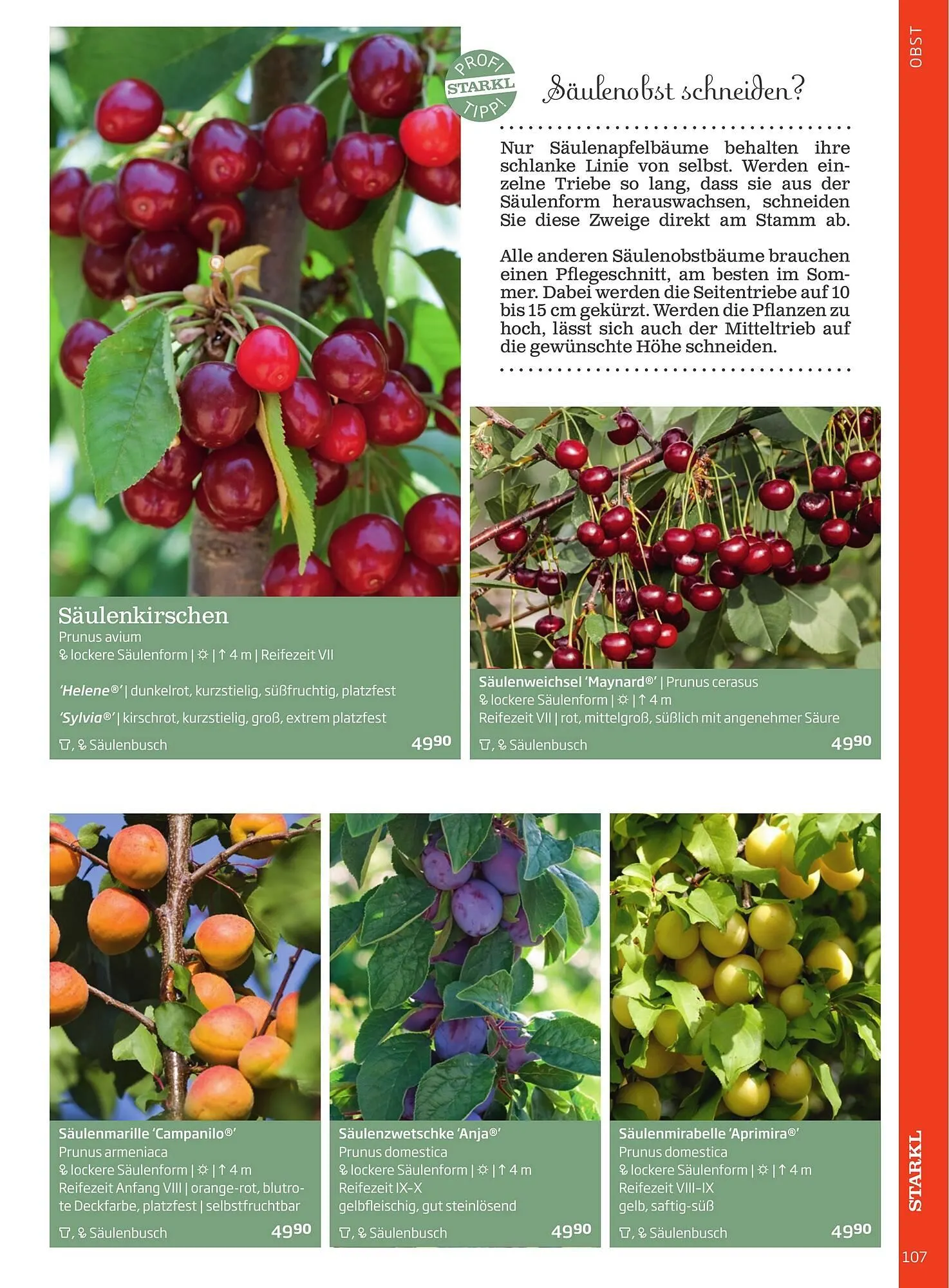Starkl Flugblatt von 6. Juni bis 31. Dezember 2025 - Flugblätt seite  107
