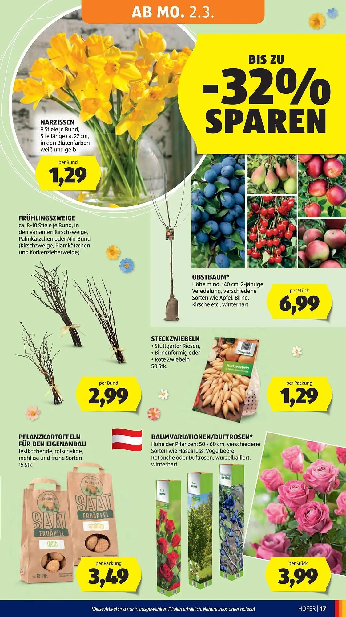 Hofer Flugblatt von 25. Februar bis 5. März 2026 - Flugblätt seite  21