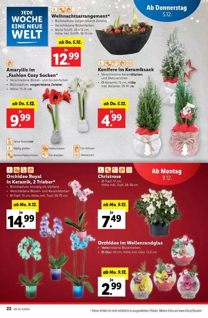 Aktuelle Flugblätter Ab Donnerstag, 5.12. von 5. Dezember bis 11. Dezember 2024 - Flugblätt seite 22