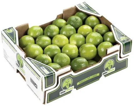 Limetten frisch Brasilien