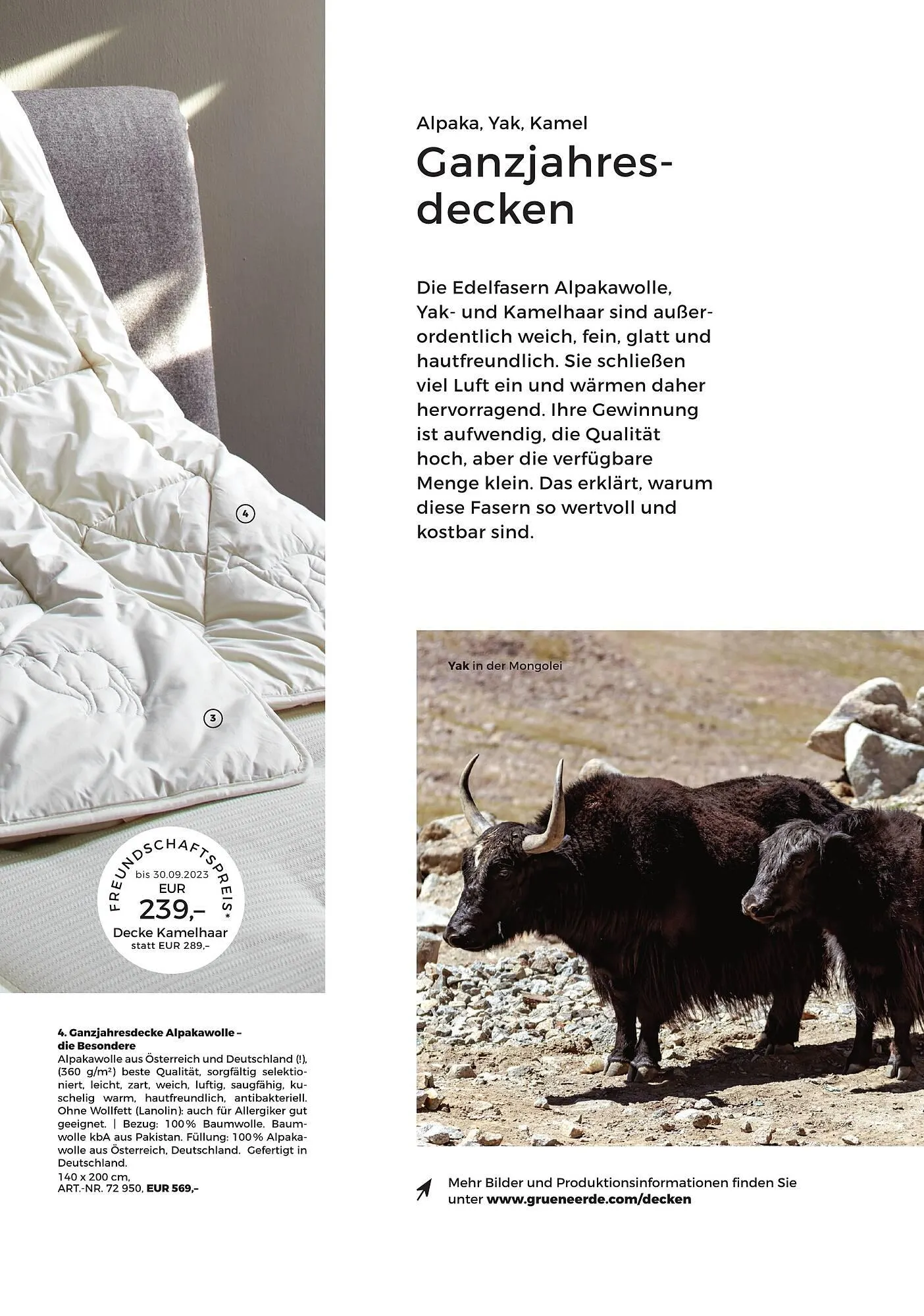 Grüne Erde Flugblatt von 27. September bis 28. Dezember 2024 - Flugblätt seite 131