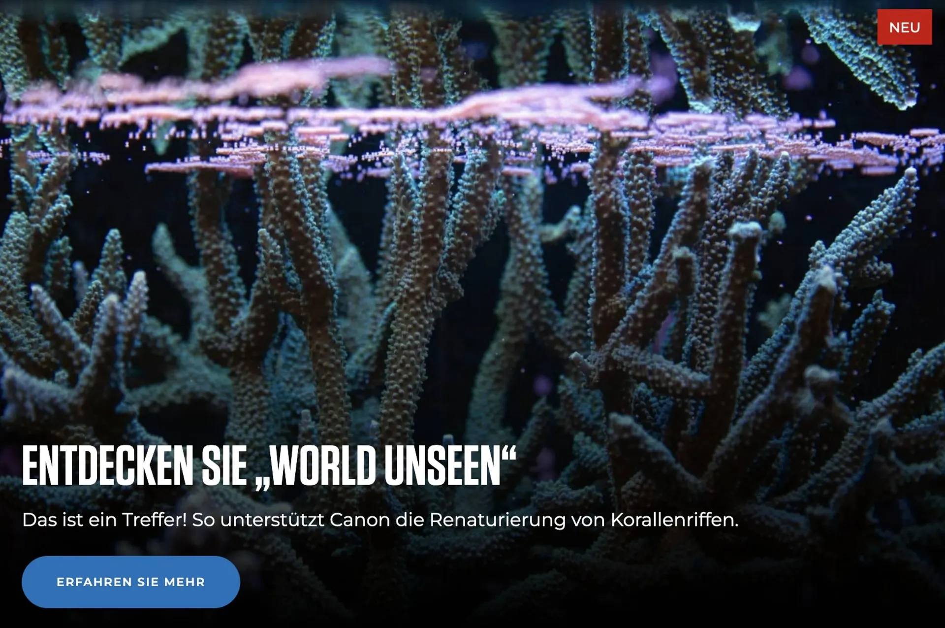 Canon Flugblatt von 12. November bis 16. Dezember 2025 - Flugblätt seite  5