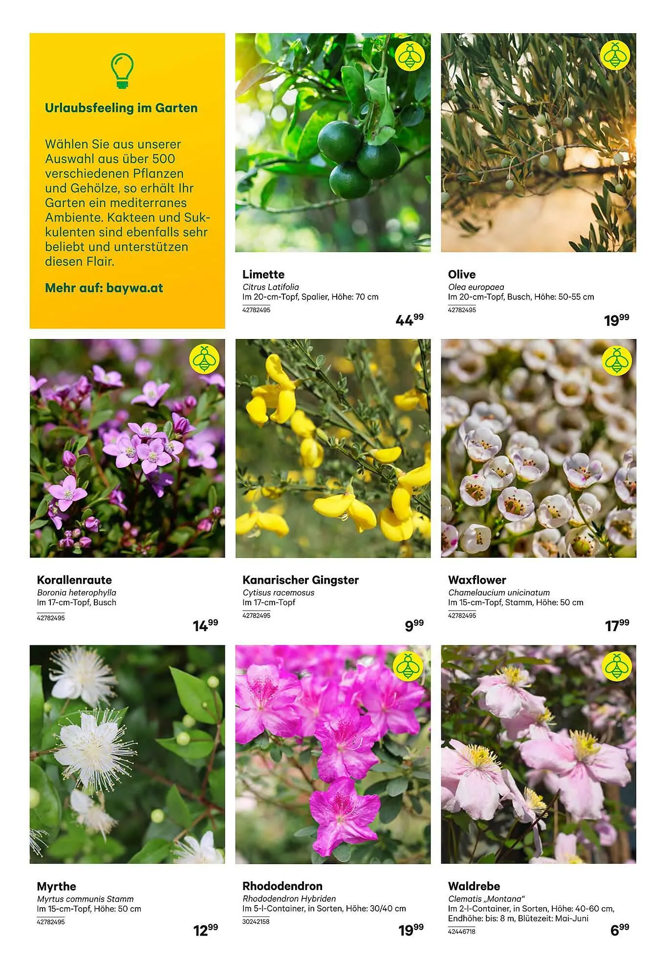 BayWa Flugblatt von 3. April bis 13. April 2024 - Flugblätt seite 3