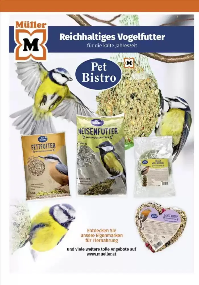 Müller flugblatt von 3. Februar bis 17. Februar 2025 - Flugblätt seite 22