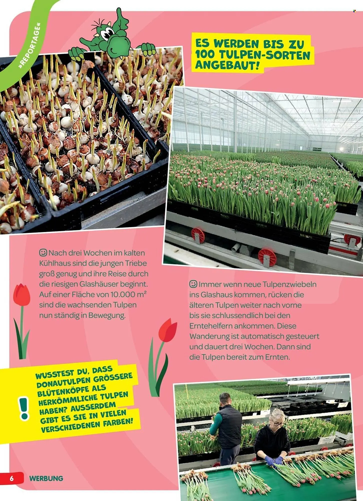 Interspar Flugblatt von 5. April bis 13. April 2026 - Flugblätt seite  6