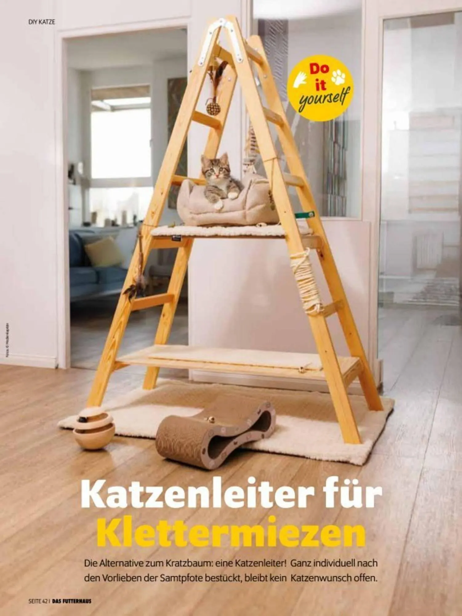 Das Futterhaus Prospekt von 3. Oktober bis 30. November 2025 - Flugblätt seite 42