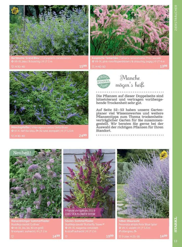 Gartencenter Jahreskatalog 2024 von 20. Mai bis 31. Dezember 2024 - Flugblätt seite 13