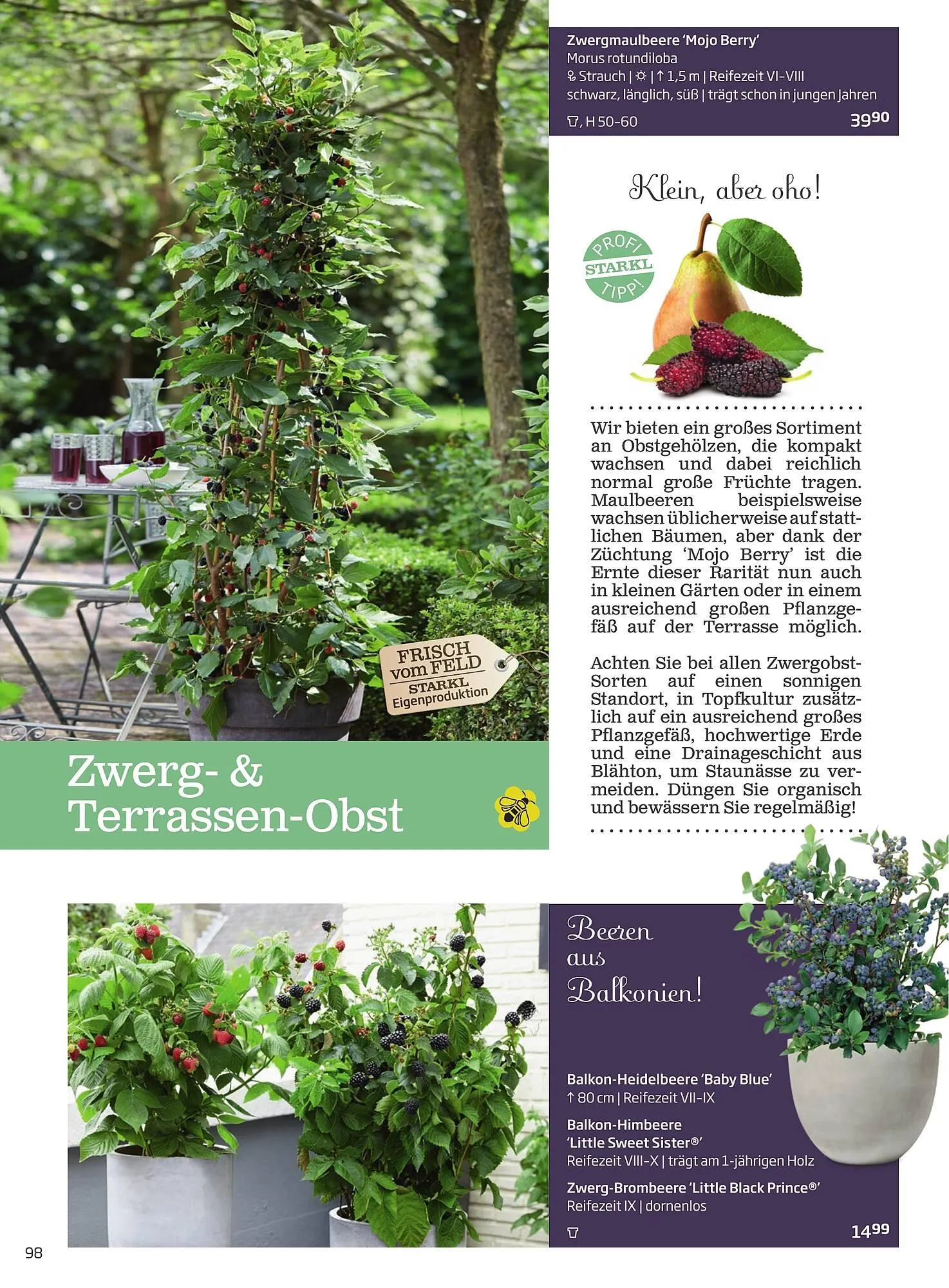 Starkl Flugblatt von 1. Jänner bis 31. Dezember 2023 - Flugblätt seite 98