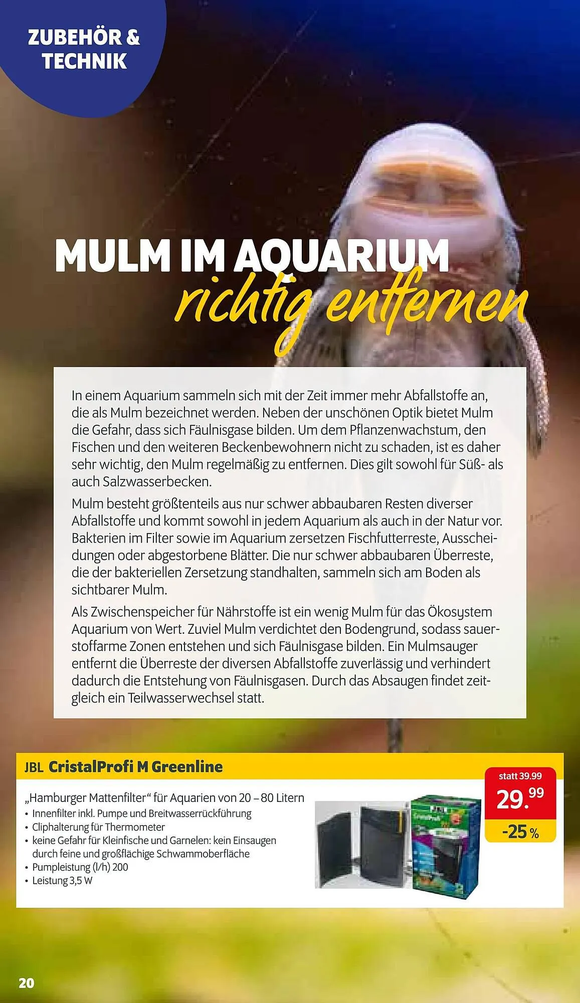 Das Futterhaus Flugblatt von 23. Februar bis 23. März 2024 - Flugblätt seite  20