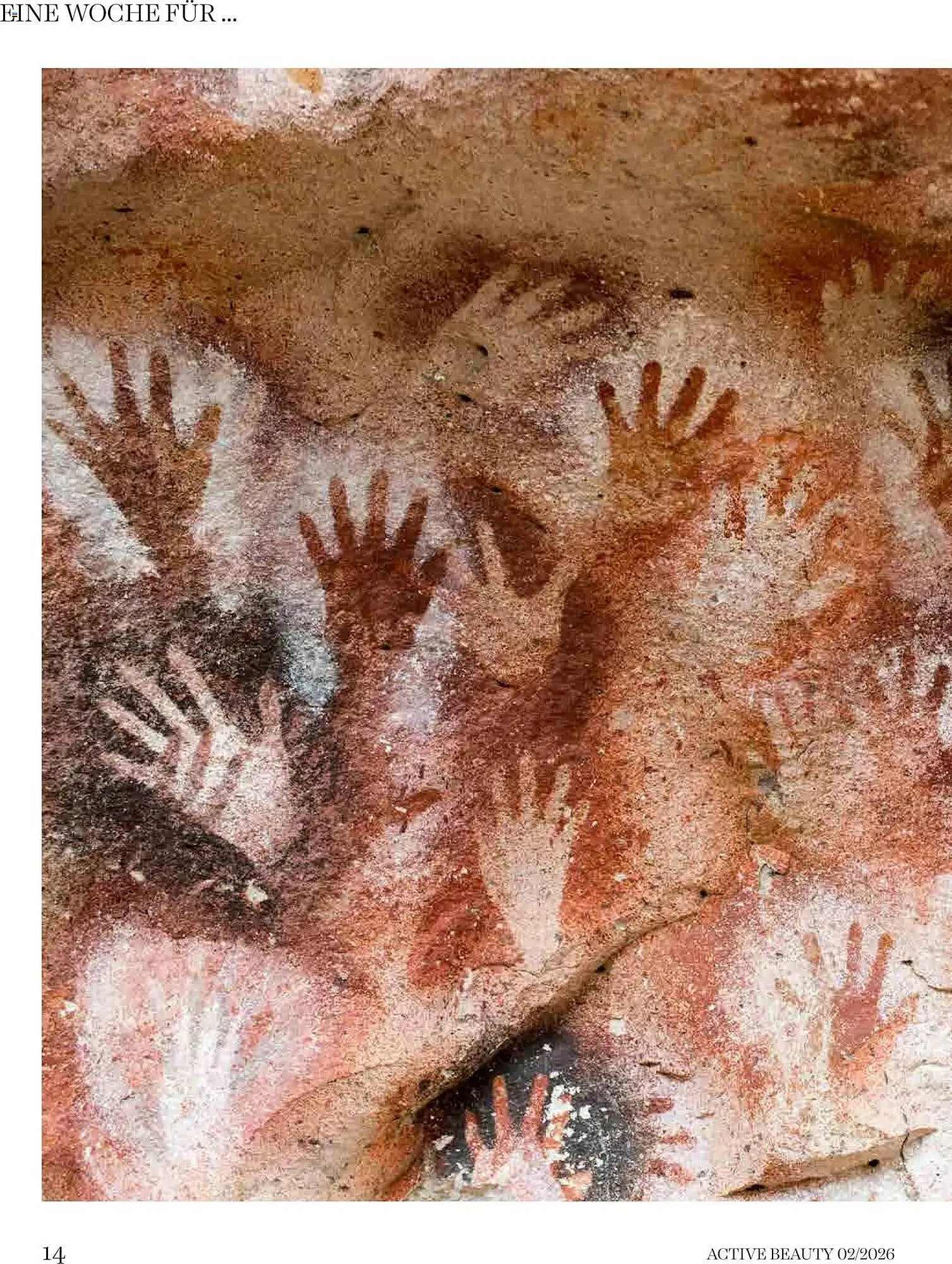 Dm Flugblatt von 1. Februar bis 28. Februar 2026 - Flugblätt seite  14