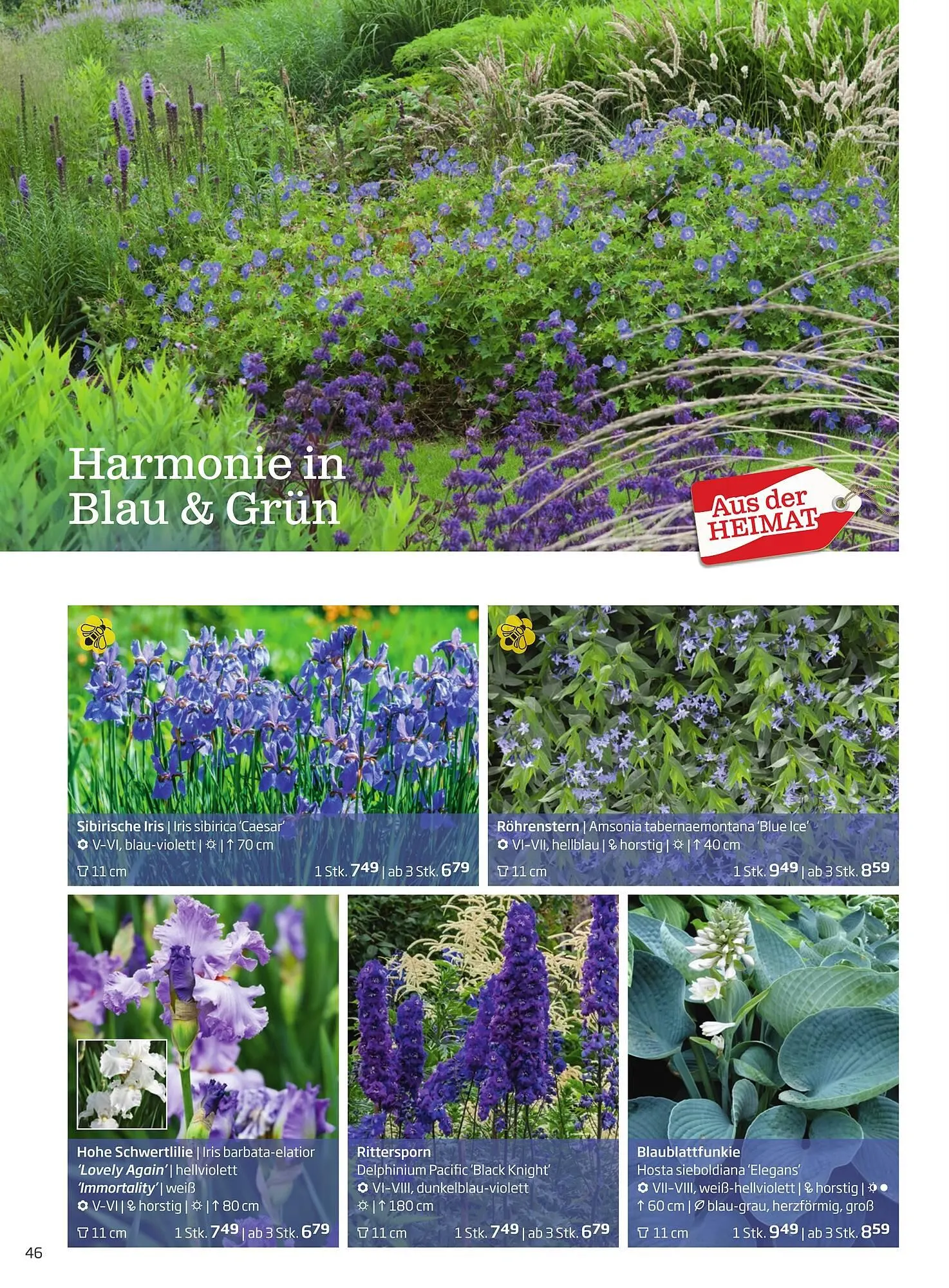 Starkl Flugblatt von 6. Juni bis 31. Dezember 2025 - Flugblätt seite  46