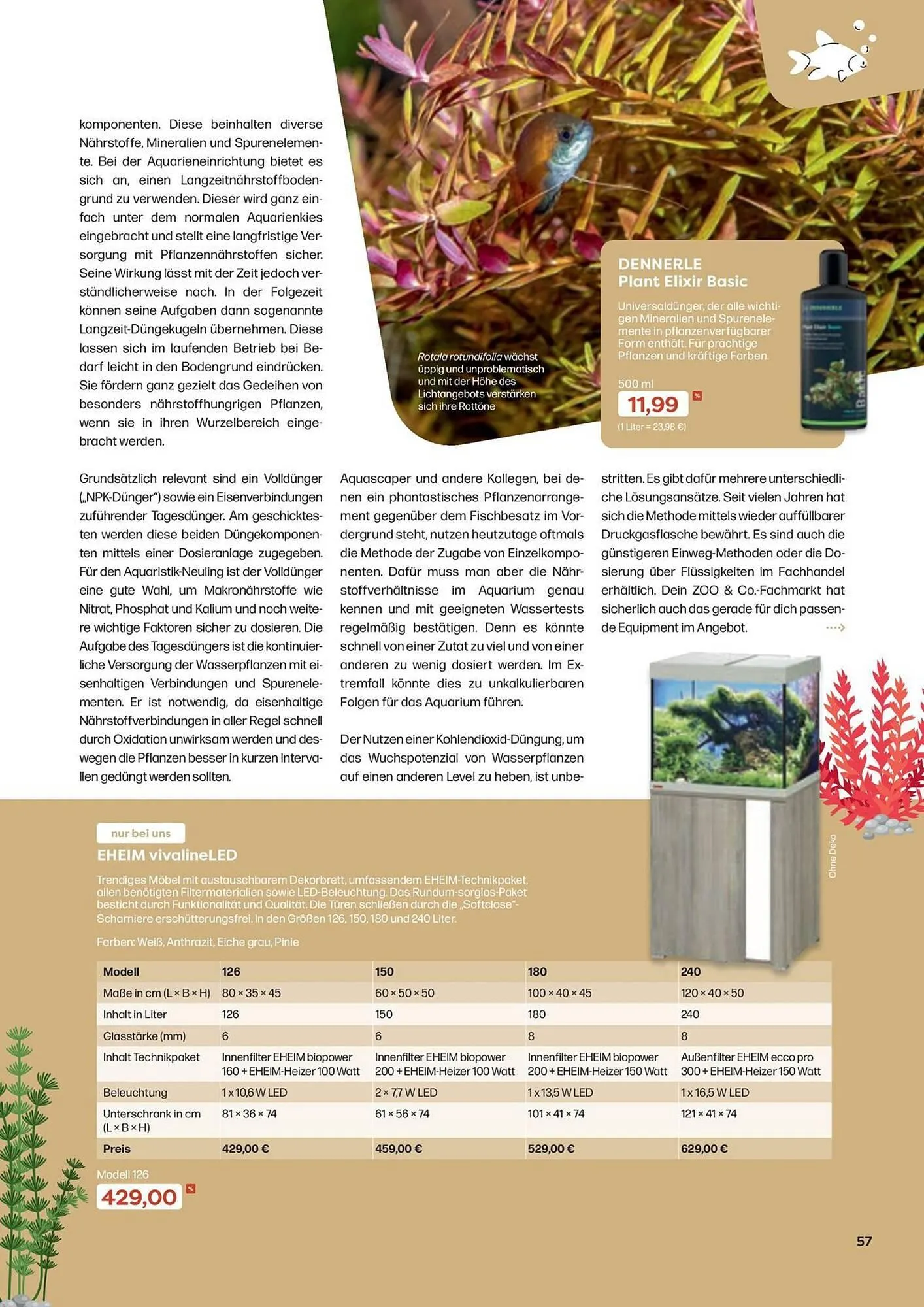 ZOO & Co Flugblatt von 30. August bis 8. November 2024 - Flugblätt seite 57