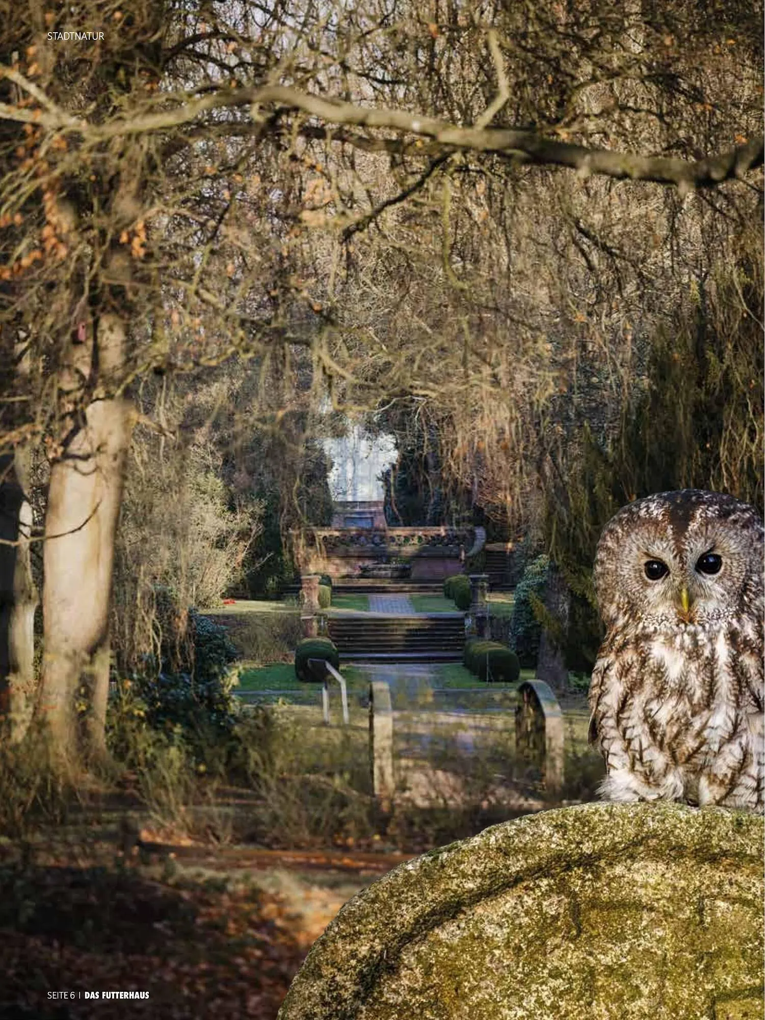 Das Futterhaus Prospekt von 16. Februar bis 8. März 2026 - Flugblätt seite  6