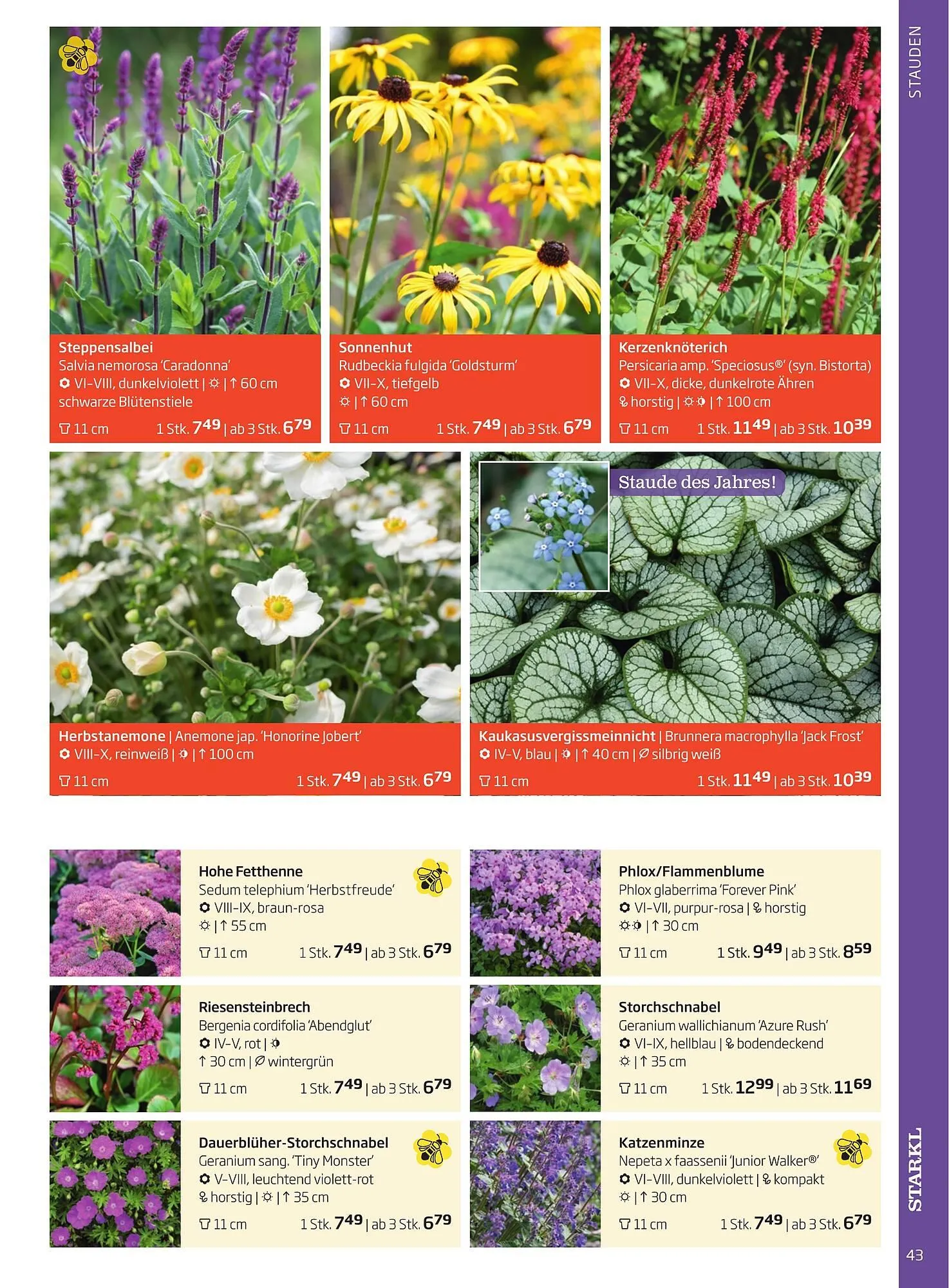 Starkl Flugblatt von 6. Juni bis 31. Dezember 2025 - Flugblätt seite 43