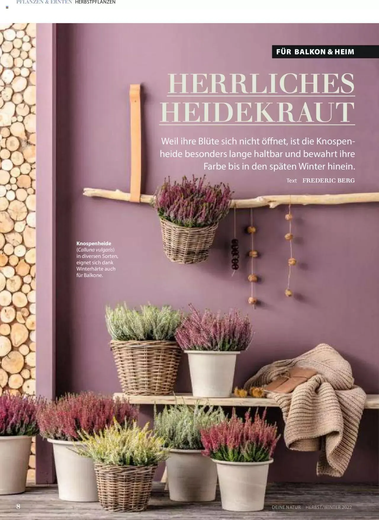 Dehner Flugblatt von 10. Oktober bis 31. Dezember 2023 - Flugblätt seite 8