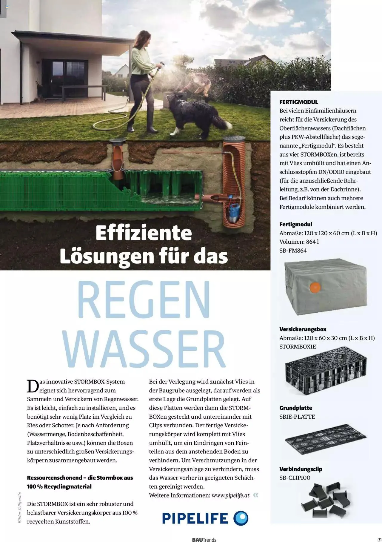 Hagebau Bautrends von 4. April bis 31. Dezember 2024 - Flugblätt seite 31